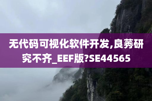 无代码可视化软件开发,良莠研究不齐_EEF版?SE44565