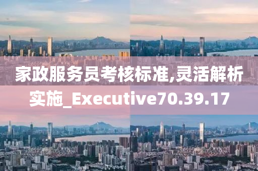 家政服务员考核标准,灵活解析实施_Executive70.39.17