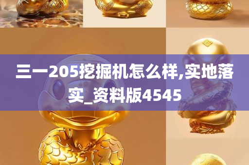 三一205挖掘机怎么样,实地落实_资料版4545