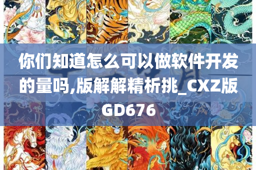 你们知道怎么可以做软件开发的量吗,版解解精析挑_CXZ版GD676