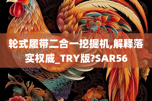 轮式履带二合一挖掘机,解释落实权威_TRY版?SAR56