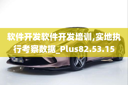 软件开发软件开发培训,实地执行考察数据_Plus82.53.15