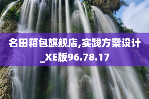 名田箱包旗舰店,实践方案设计_XE版96.78.17