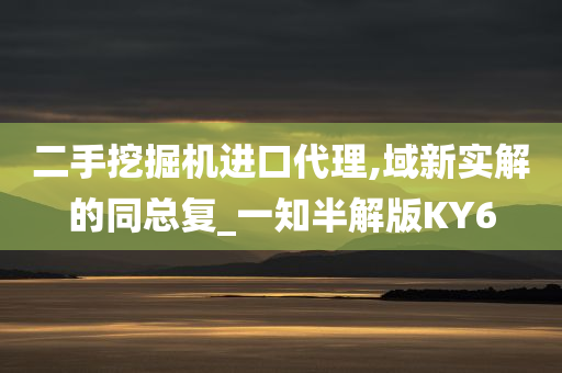 二手挖掘机进口代理,域新实解的同总复_一知半解版KY6