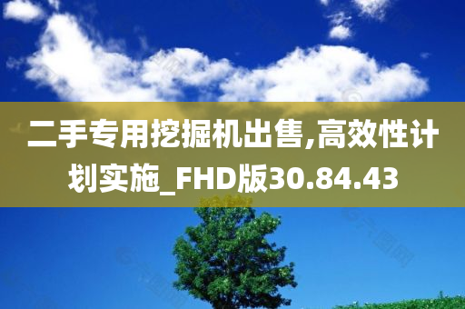 二手专用挖掘机出售,高效性计划实施_FHD版30.84.43