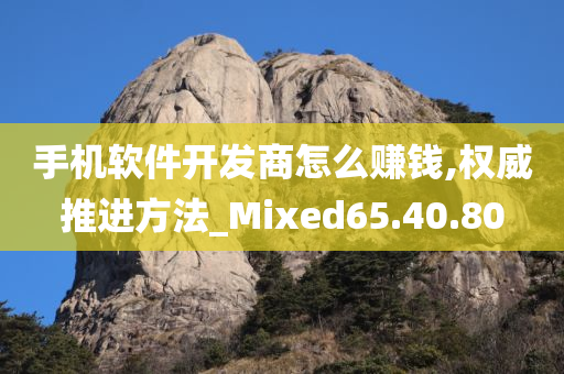 手机软件开发商怎么赚钱,权威推进方法_Mixed65.40.80