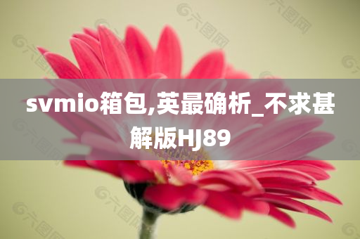 svmio箱包,英最确析_不求甚解版HJ89