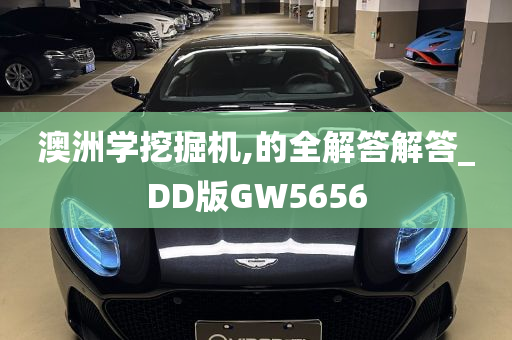 澳洲学挖掘机,的全解答解答_DD版GW5656