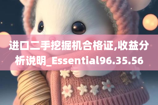 进口二手挖掘机合格证,收益分析说明_Essential96.35.56