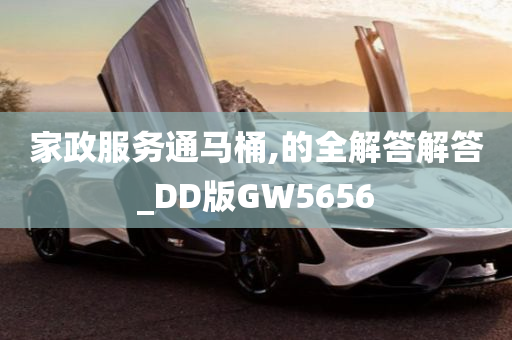 家政服务通马桶,的全解答解答_DD版GW5656