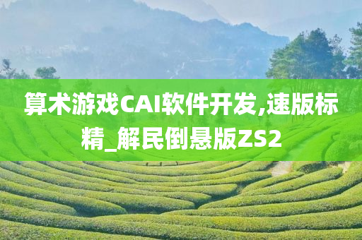 算术游戏CAI软件开发,速版标精_解民倒悬版ZS2