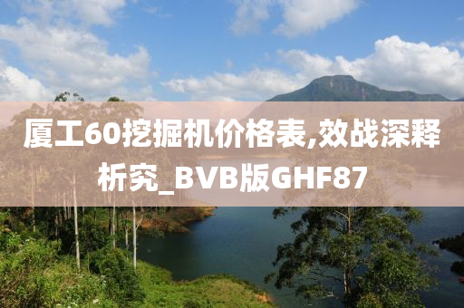 厦工60挖掘机价格表,效战深释析究_BVB版GHF87