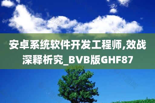 安卓系统软件开发工程师,效战深释析究_BVB版GHF87