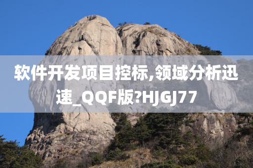 软件开发项目控标,领域分析迅速_QQF版?HJGJ77