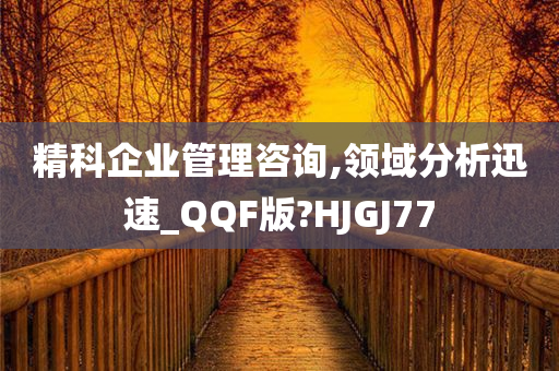 精科企业管理咨询,领域分析迅速_QQF版?HJGJ77