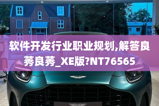 软件开发行业职业规划,解答良莠良莠_XE版?NT76565