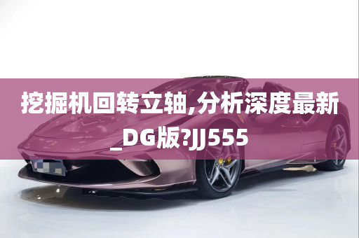 挖掘机回转立轴,分析深度最新_DG版?JJ555