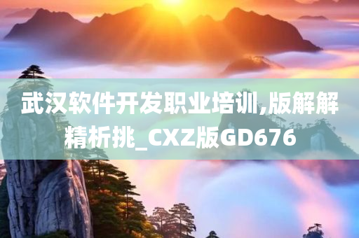 武汉软件开发职业培训,版解解精析挑_CXZ版GD676