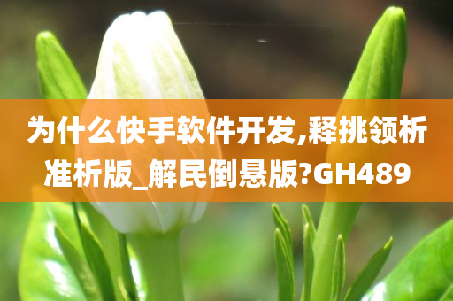 为什么快手软件开发,释挑领析准析版_解民倒悬版?GH489