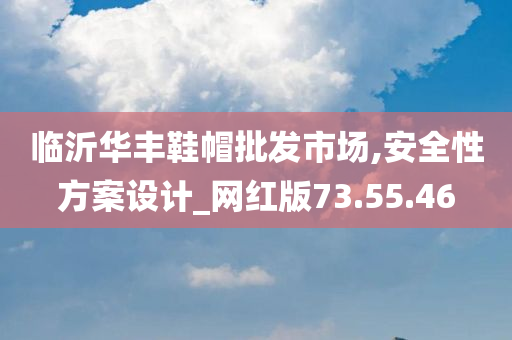 临沂华丰鞋帽批发市场,安全性方案设计_网红版73.55.46