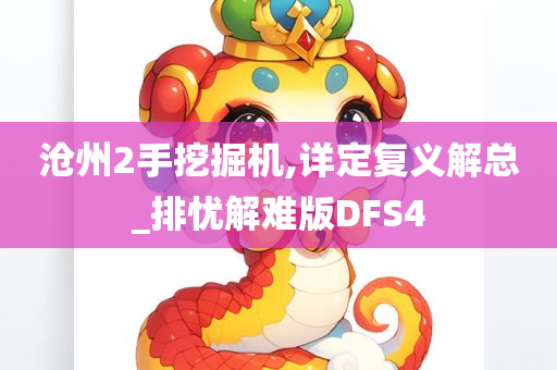 沧州2手挖掘机,详定复义解总_排忧解难版DFS4