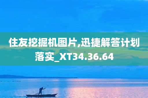 住友挖掘机图片,迅捷解答计划落实_XT34.36.64