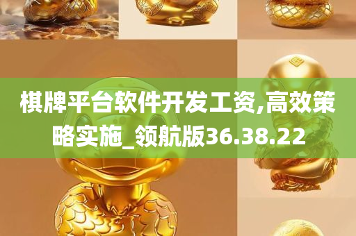 棋牌平台软件开发工资,高效策略实施_领航版36.38.22