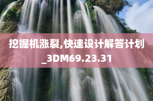 挖掘机涨裂,快速设计解答计划_3DM69.23.31