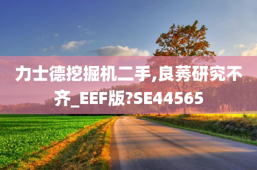 力士德挖掘机二手,良莠研究不齐_EEF版?SE44565