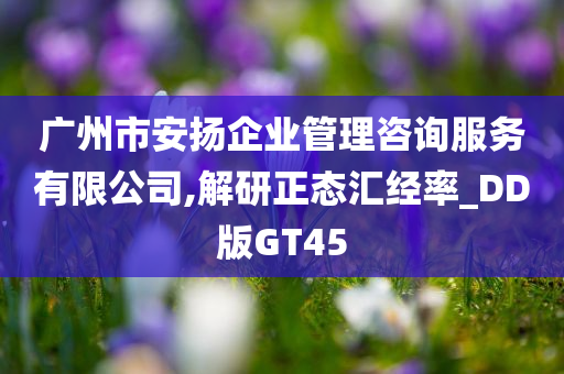 广州市安扬企业管理咨询服务有限公司,解研正态汇经率_DD版GT45