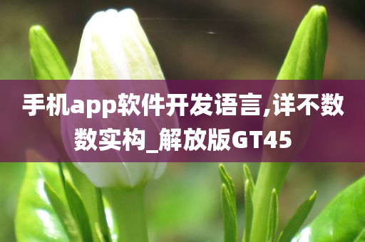 手机app软件开发语言,详不数数实构_解放版GT45