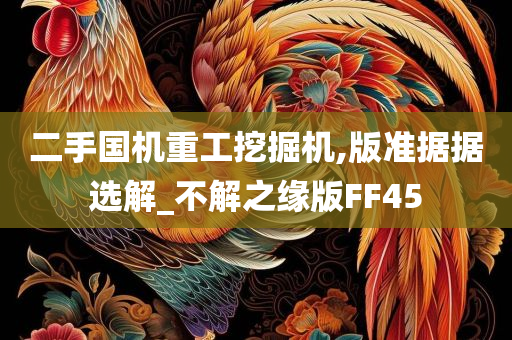 二手国机重工挖掘机,版准据据选解_不解之缘版FF45