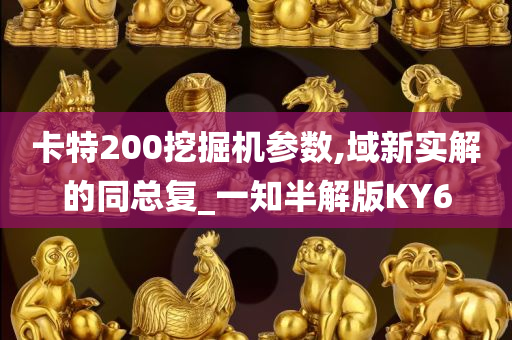 卡特200挖掘机参数,域新实解的同总复_一知半解版KY6