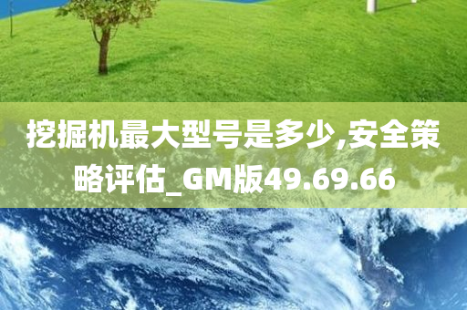 挖掘机最大型号是多少,安全策略评估_GM版49.69.66