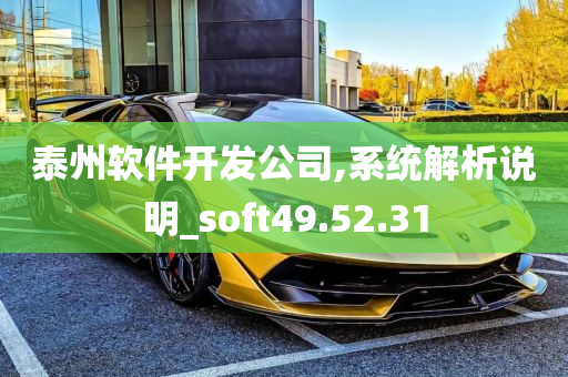 泰州软件开发公司,系统解析说明_soft49.52.31