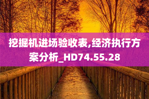 挖掘机进场验收表,经济执行方案分析_HD74.55.28