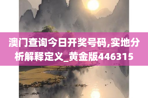 澳门查询今日开奖号码,实地分析解释定义_黄金版446315