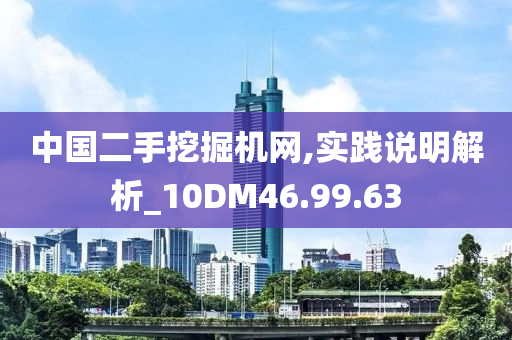 中国二手挖掘机网,实践说明解析_10DM46.99.63