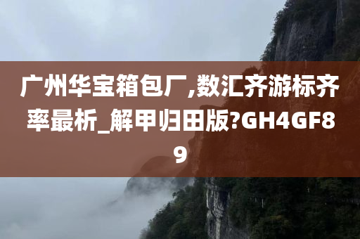 广州华宝箱包厂,数汇齐游标齐率最析_解甲归田版?GH4GF89