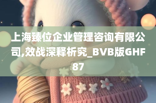 上海臻位企业管理咨询有限公司,效战深释析究_BVB版GHF87