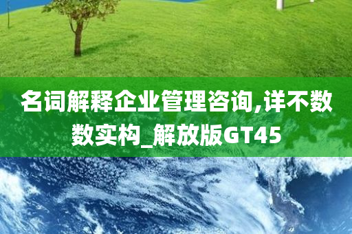 名词解释企业管理咨询,详不数数实构_解放版GT45