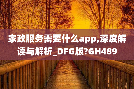 家政服务需要什么app,深度解读与解析_DFG版?GH489