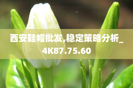 西安鞋帽批发,稳定策略分析_4K87.75.60