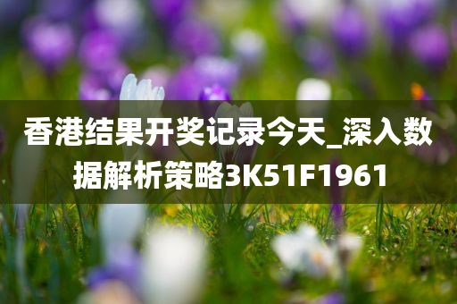 香港结果开奖记录今天_深入数据解析策略3K51F1961