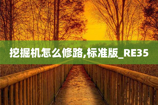 挖掘机怎么修路,标准版_RE35