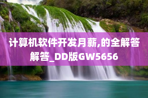 计算机软件开发月薪,的全解答解答_DD版GW5656