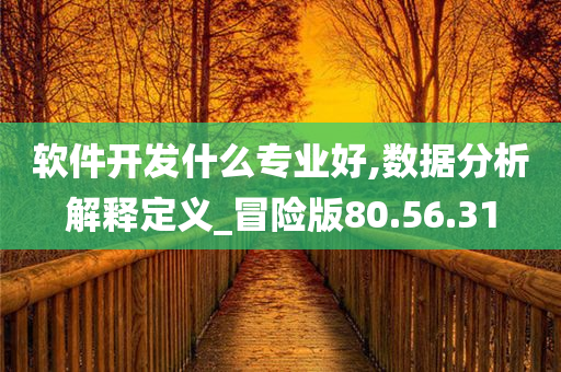 软件开发什么专业好,数据分析解释定义_冒险版80.56.31