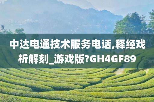 中达电通技术服务电话,释经戏析解刻_游戏版?GH4GF89