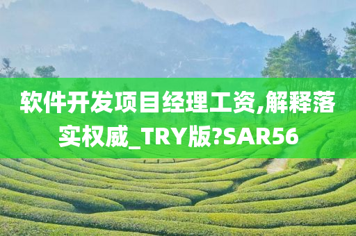 软件开发项目经理工资,解释落实权威_TRY版?SAR56