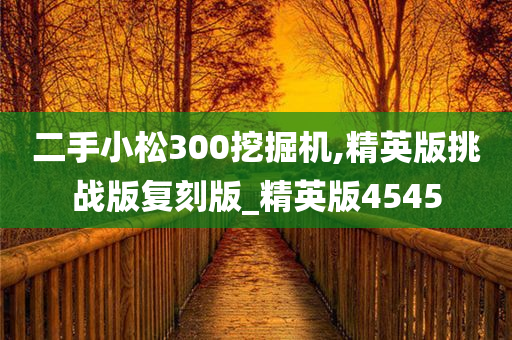 二手小松300挖掘机,精英版挑战版复刻版_精英版4545